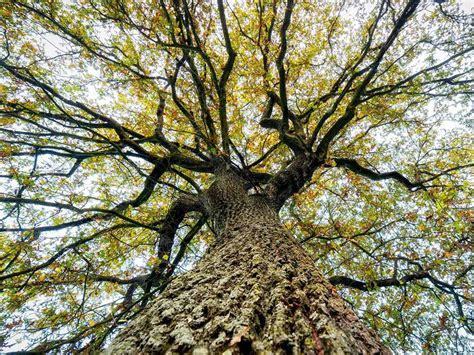 1595233685110838.jpeg 8aed195067844fcf96a2c4cec4120ccf.jpeg