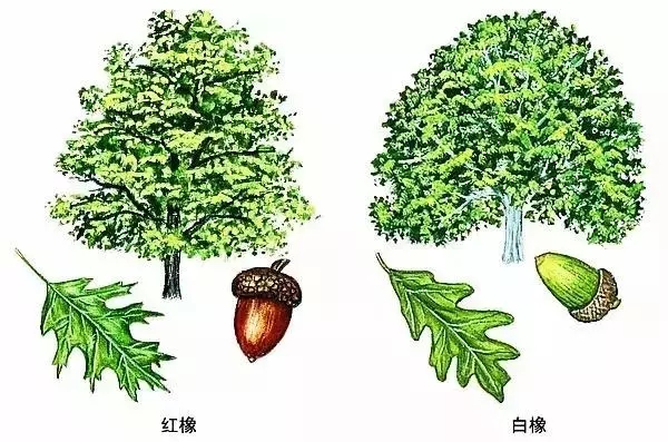 1622100238.png image.png